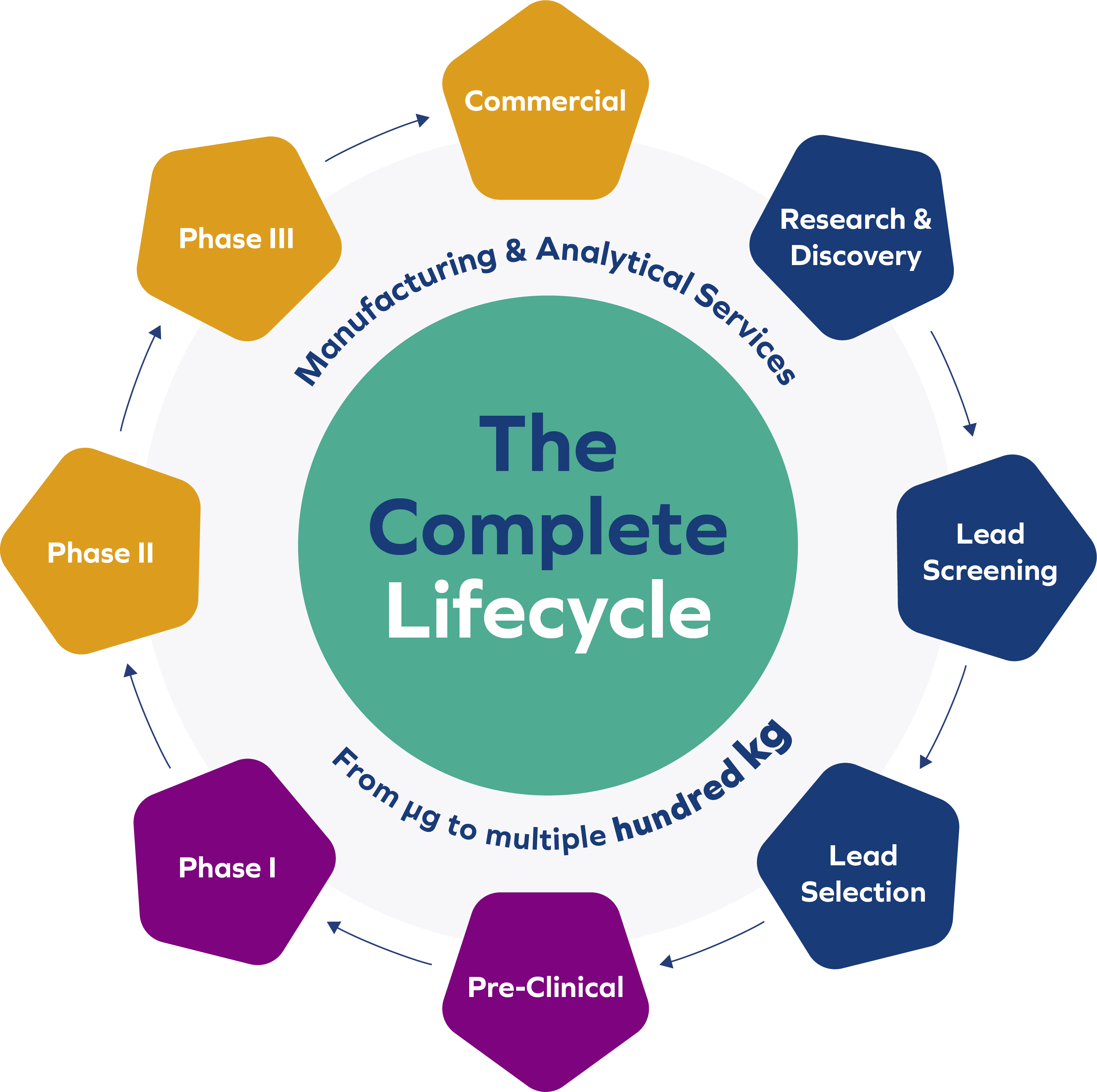 Complete_Lifecycle_08.23.png